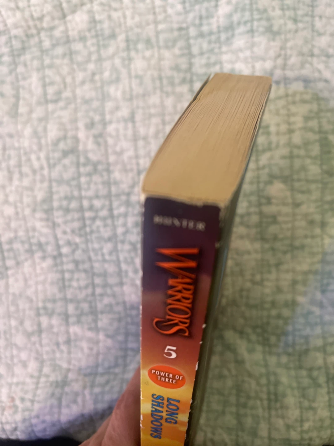 Warriors: Long Shadows Book by Erin Hunter - photo 2