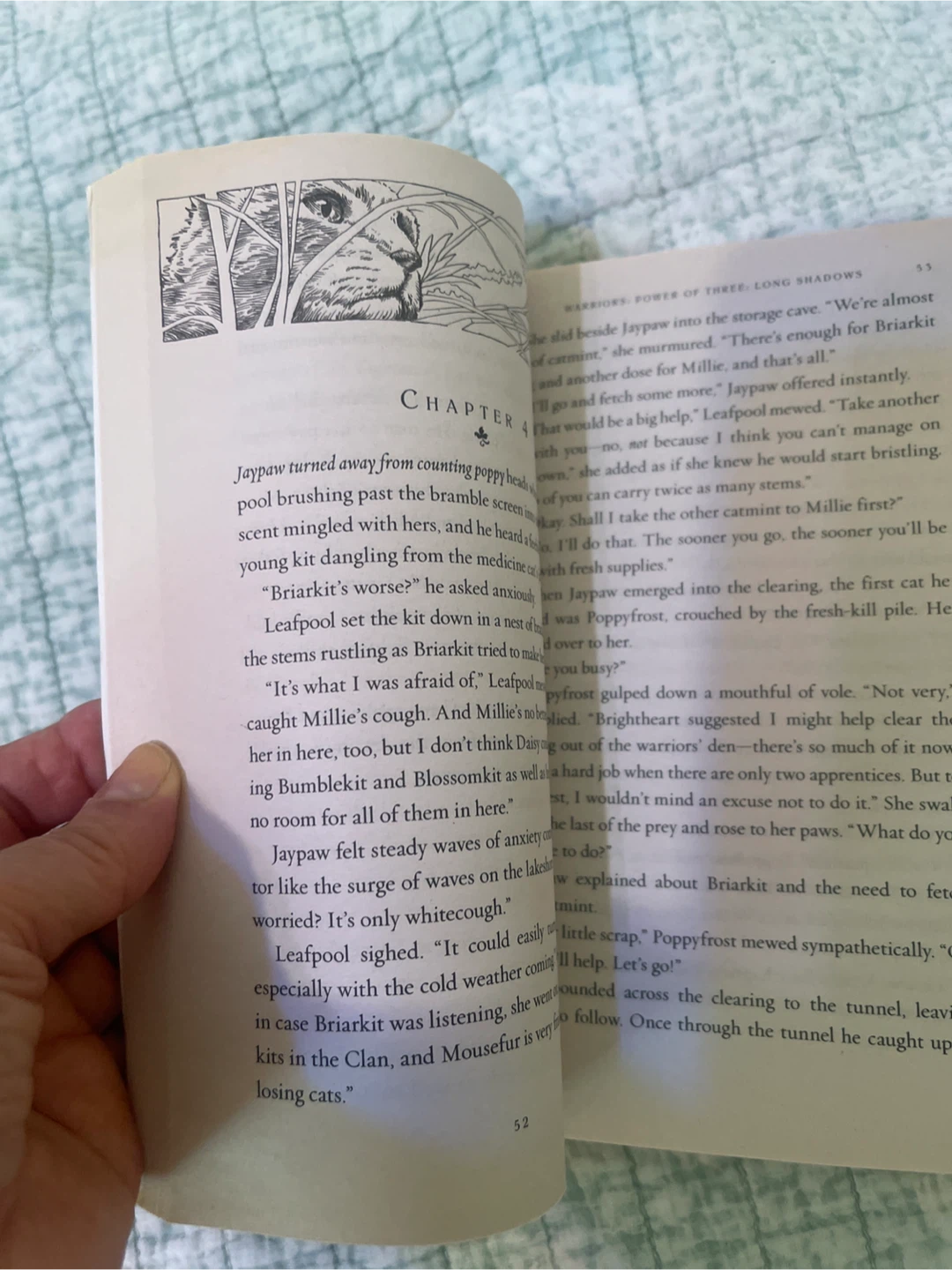 Warriors: Long Shadows Book by Erin Hunter - photo 3