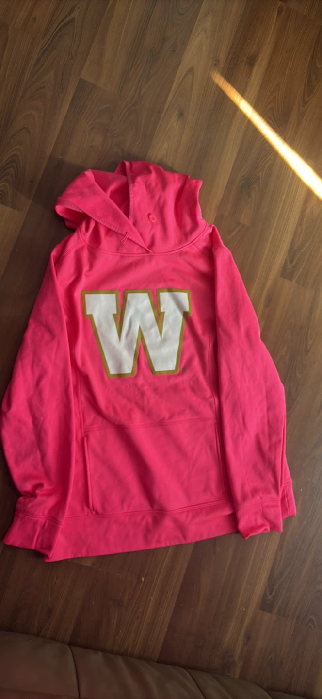 The Authentic T-Shirt Company Pink Hoodie