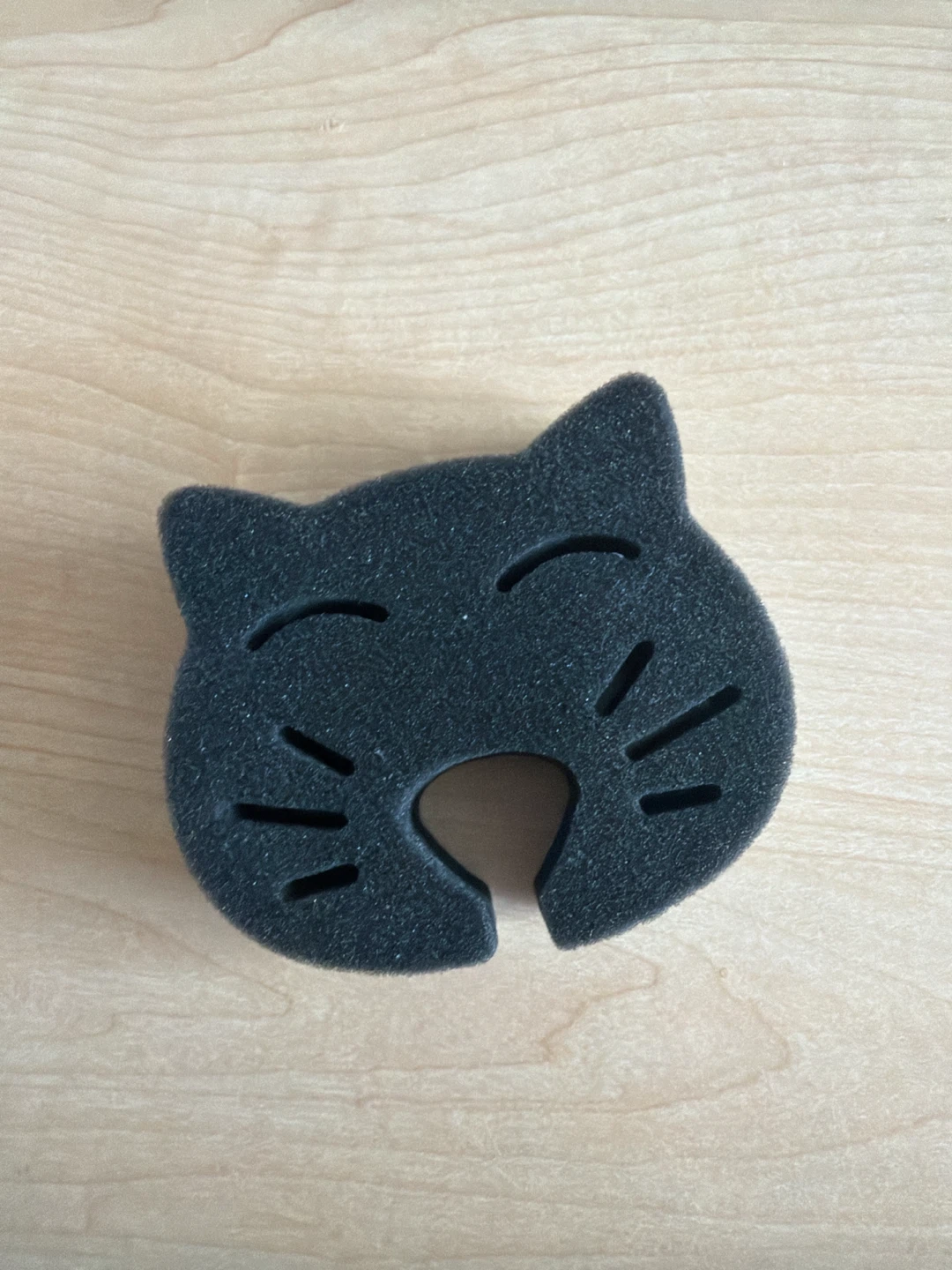 Kitten scrubbing sponge