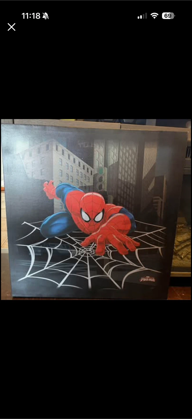 Spider-Man Canvas Print