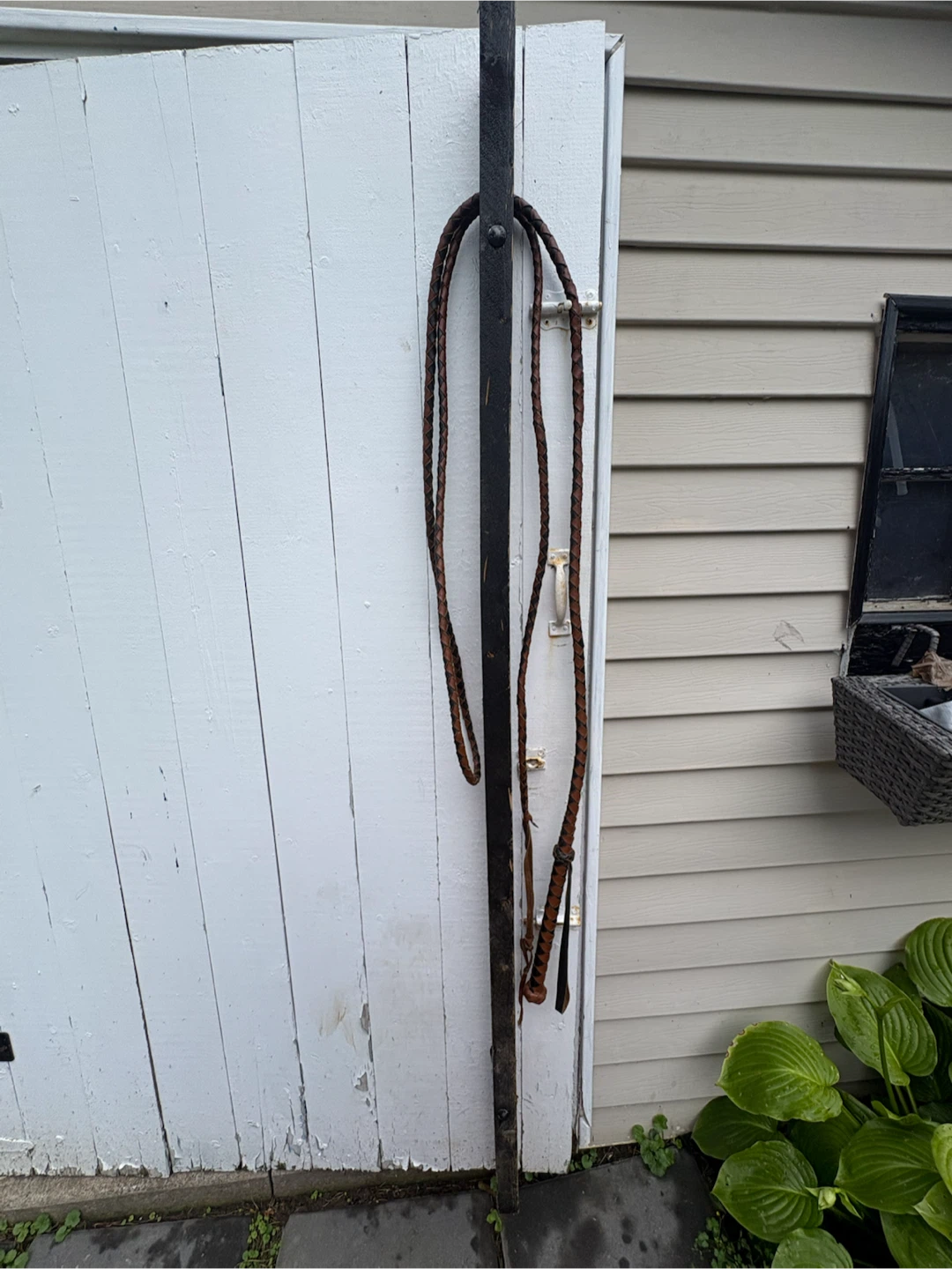 Antique Leather Bull Whip