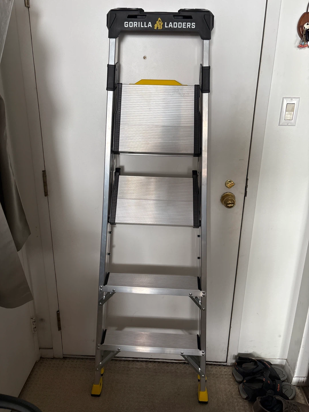 Werner Telescoping Multi-Position Ladder
