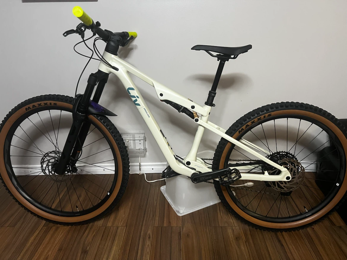 Mountain Bike