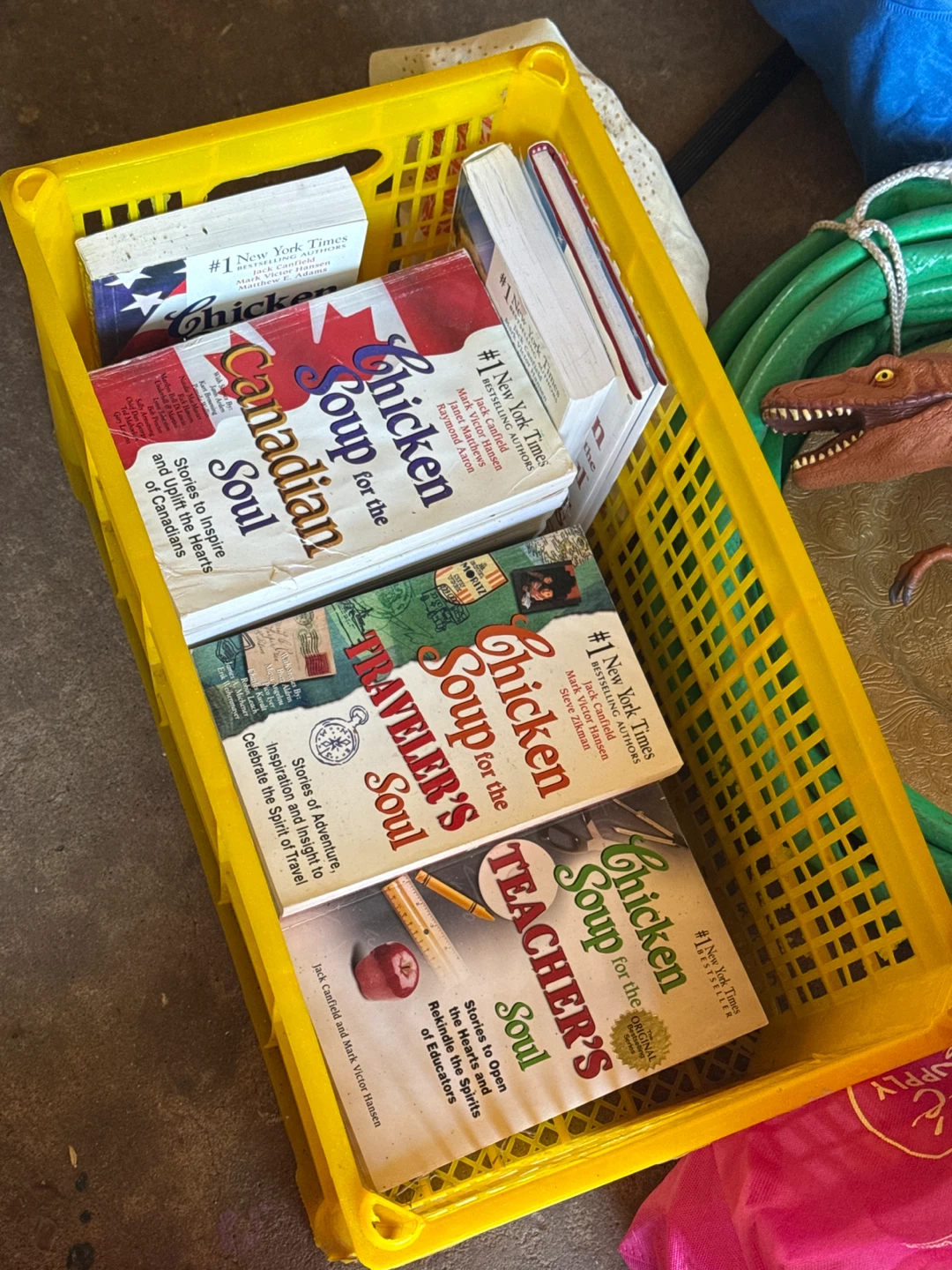 Chicken Soup for the Soul Book Collection