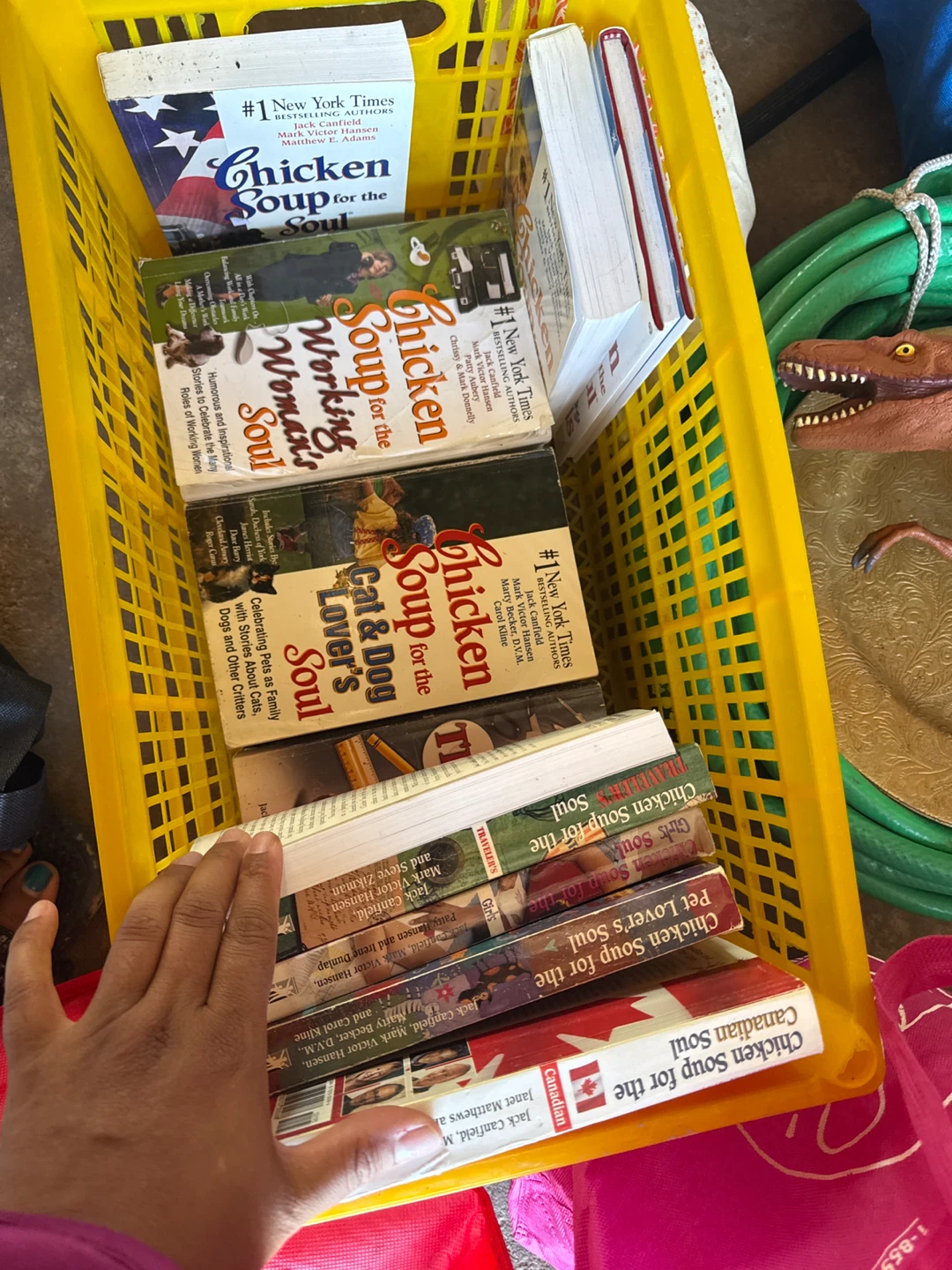 Chicken Soup for the Soul Book Collection - photo 2