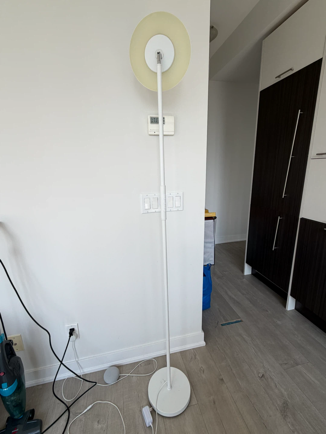 SUNTHIN Smart Floor Lamp