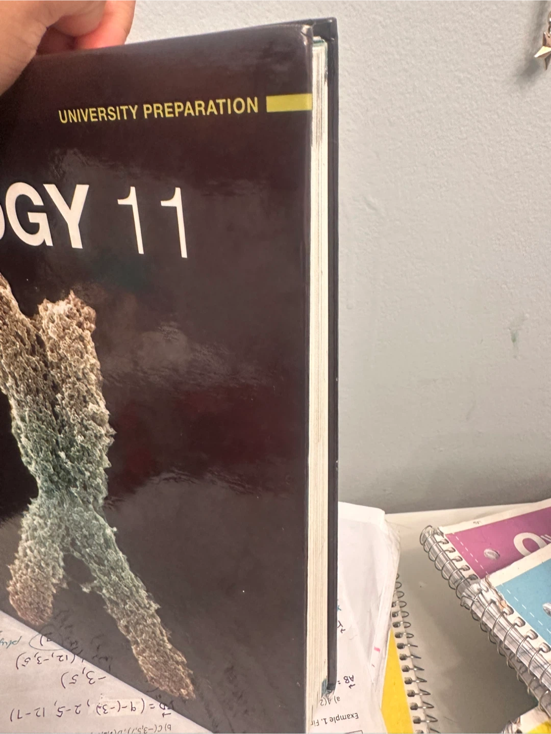 Nelson Biology 11 - Good Condition, Minimal Markings - photo 3