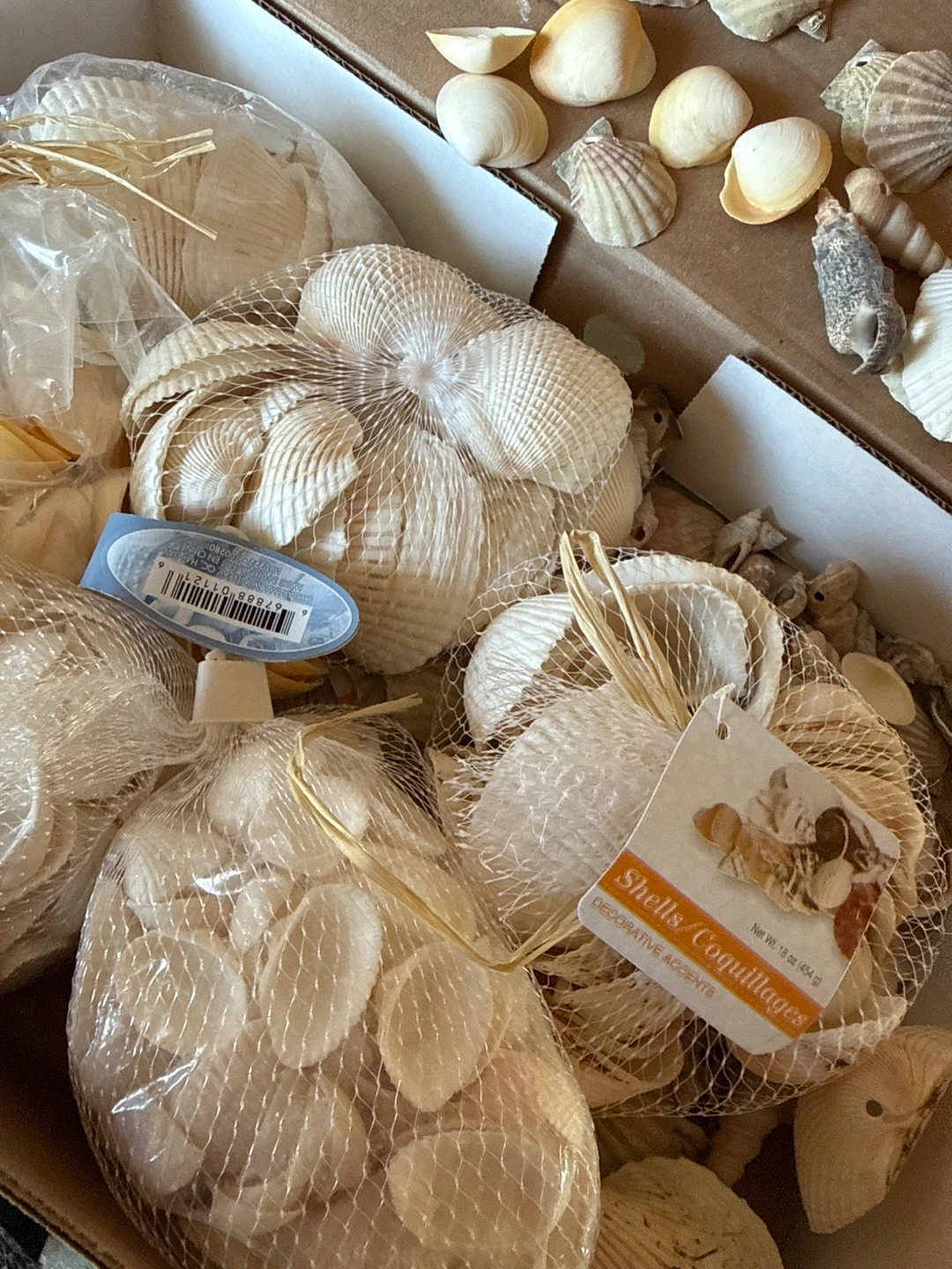 Seashells Decorative Accents - photo 2