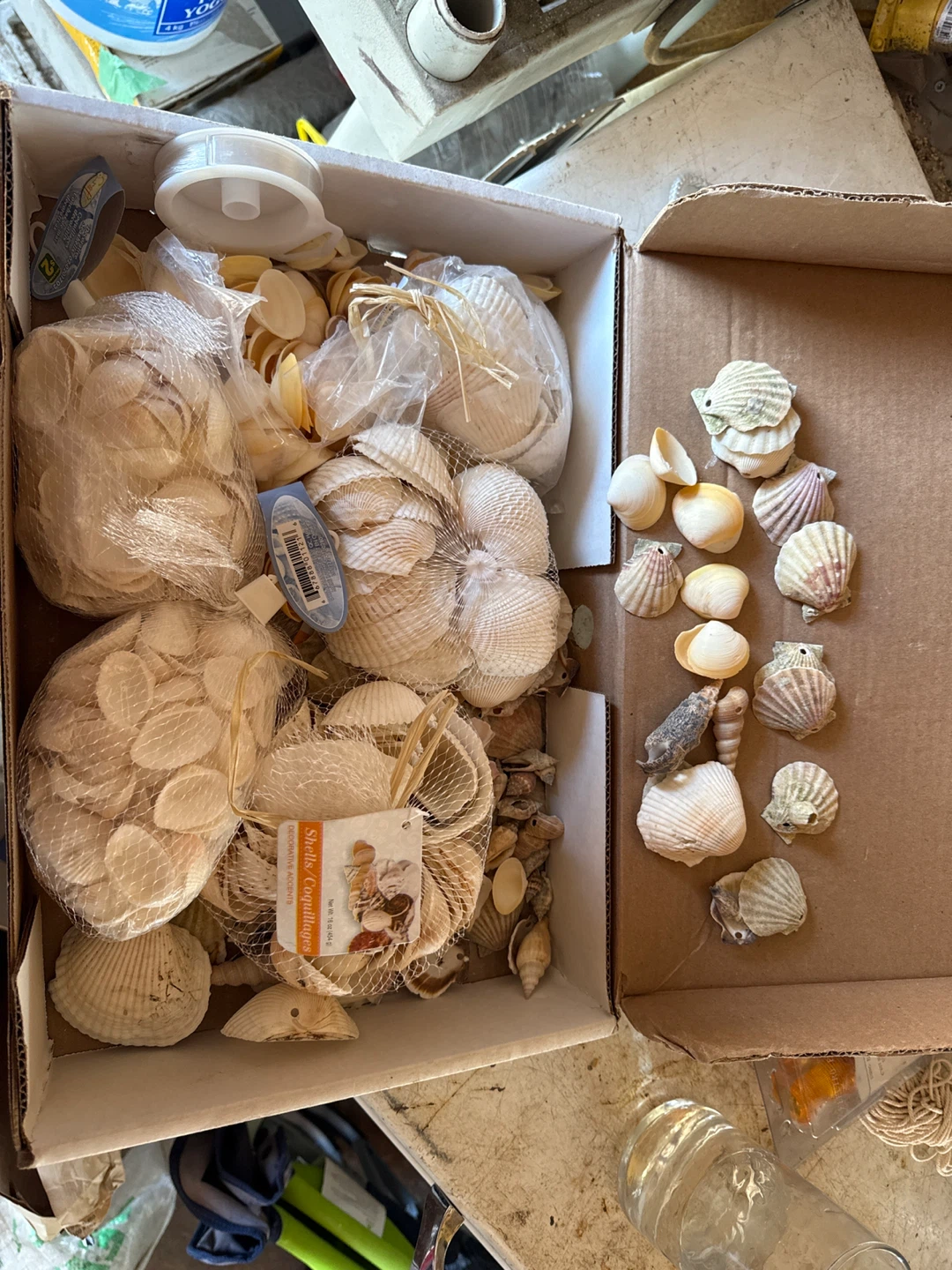 Seashells Decorative Accents - photo 4