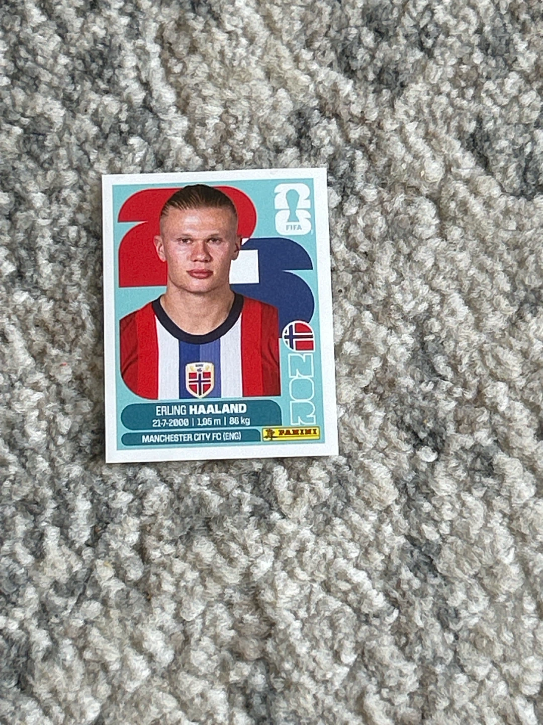 Panini FIFA Erling Haaland Sticker