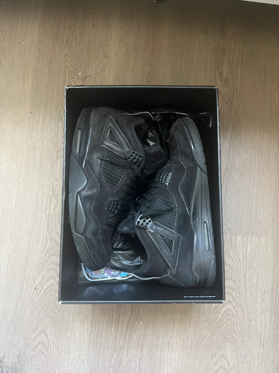 Air Jordan 4 "Black Cat"