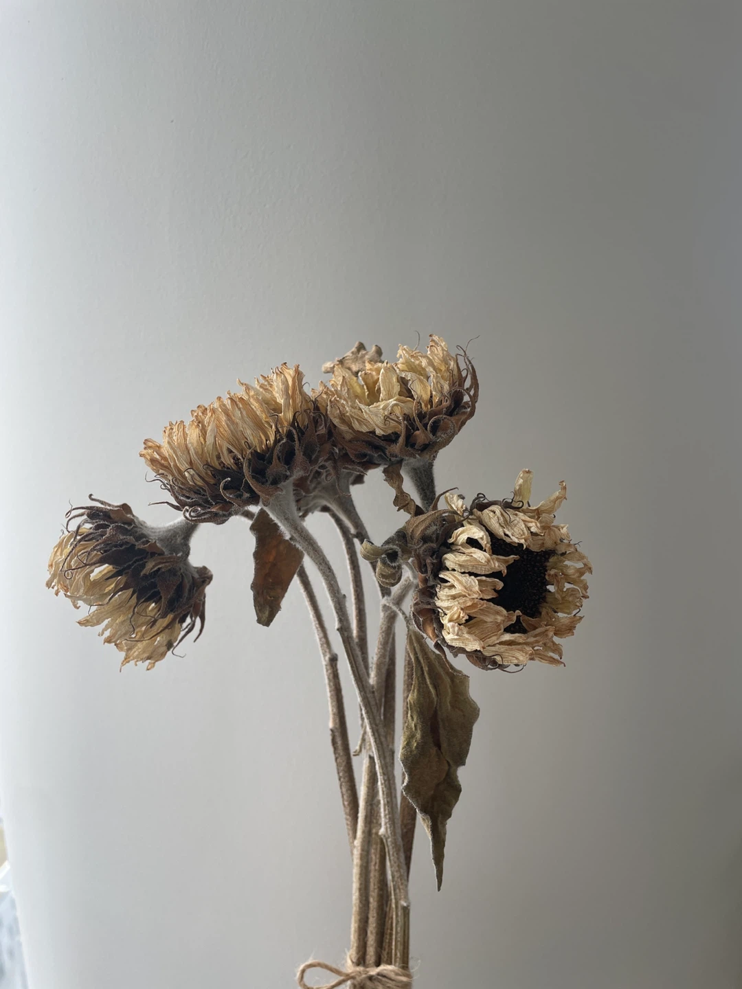 Dried Sunflower Bouquet - photo 2