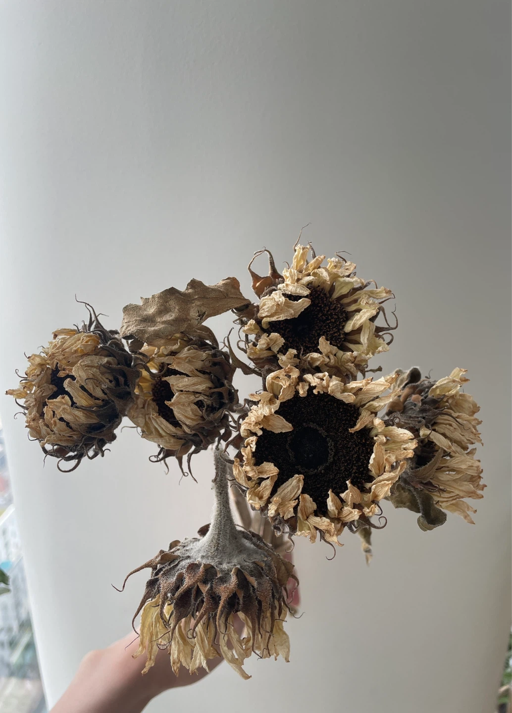 Dried Sunflower Bouquet - photo 4