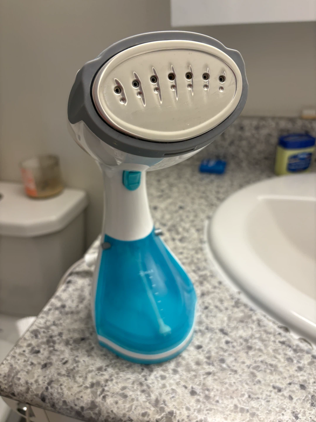 Handheld Steamer
