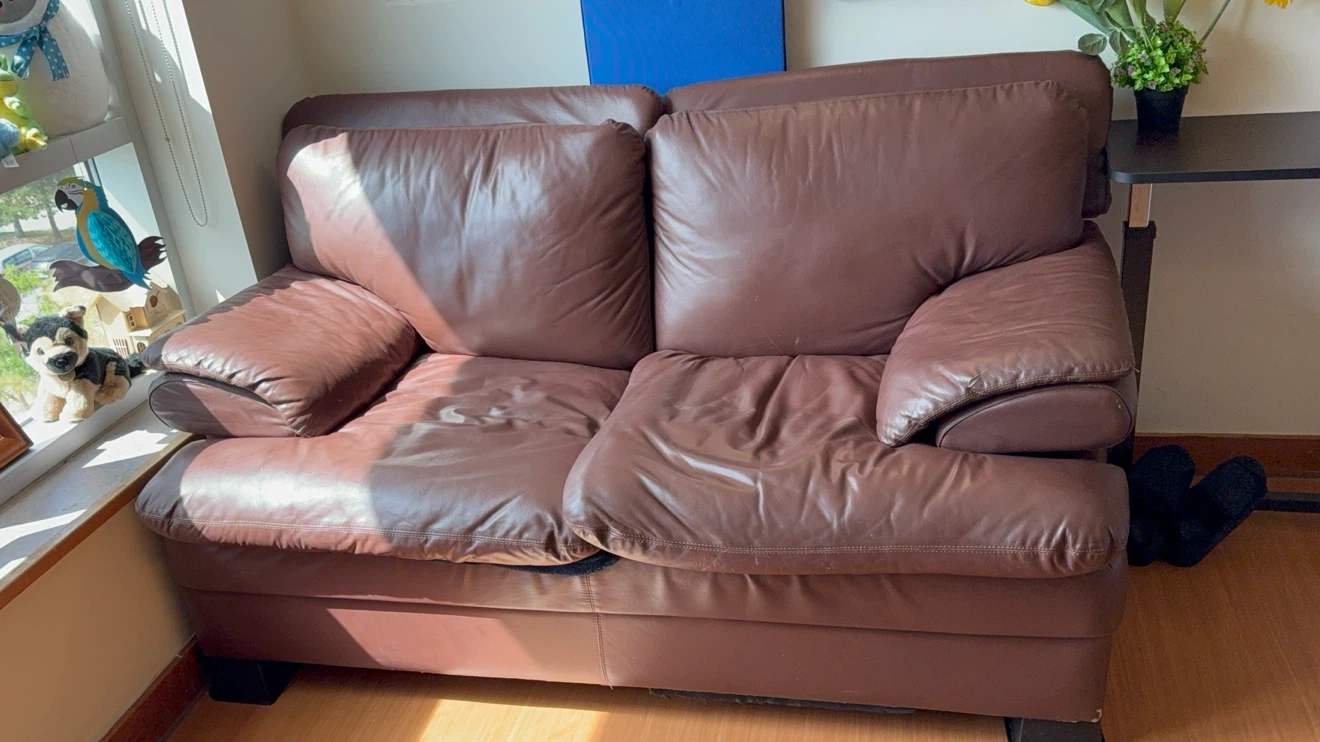 Brown Leather 2-Seater Sofa