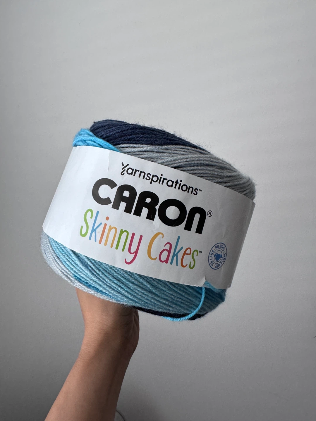 Caron Skinny Cakes Yarn - Pop Rock