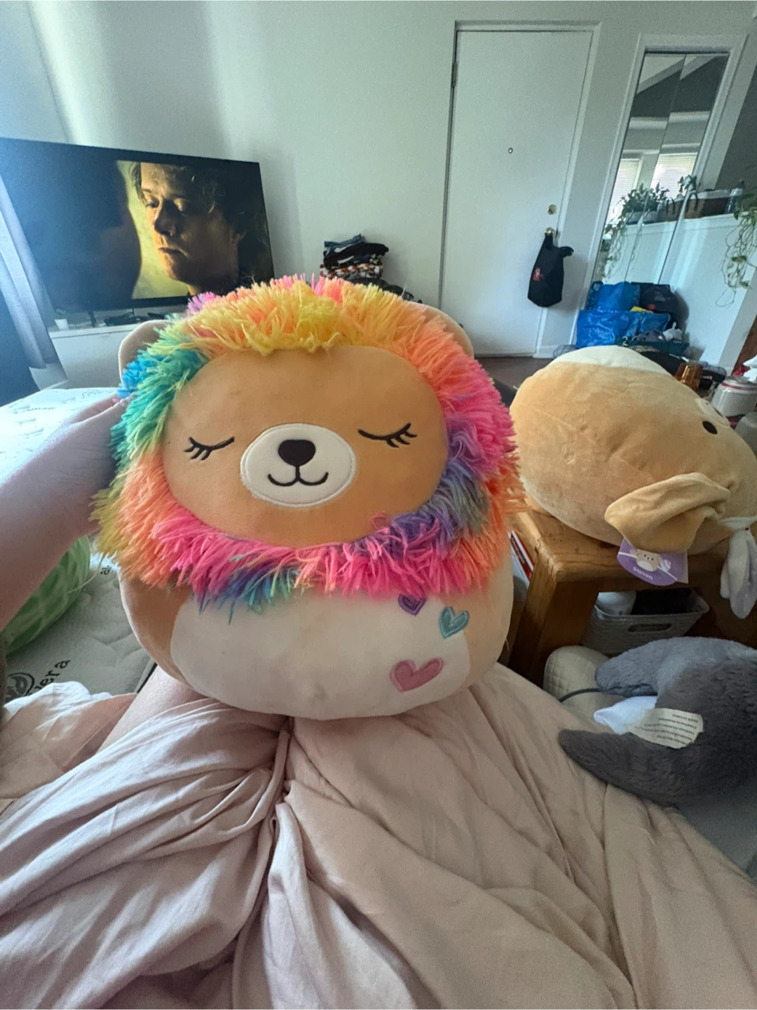 Squishmallow Plush Toy