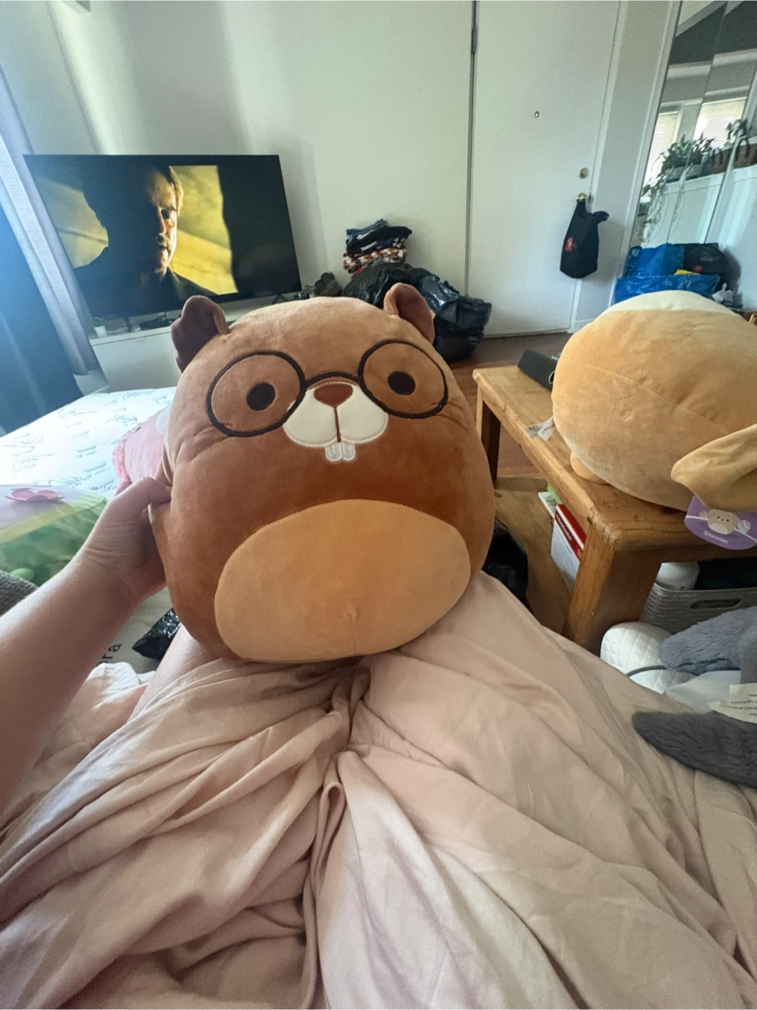 Squishmallow Beaver Plush Toy