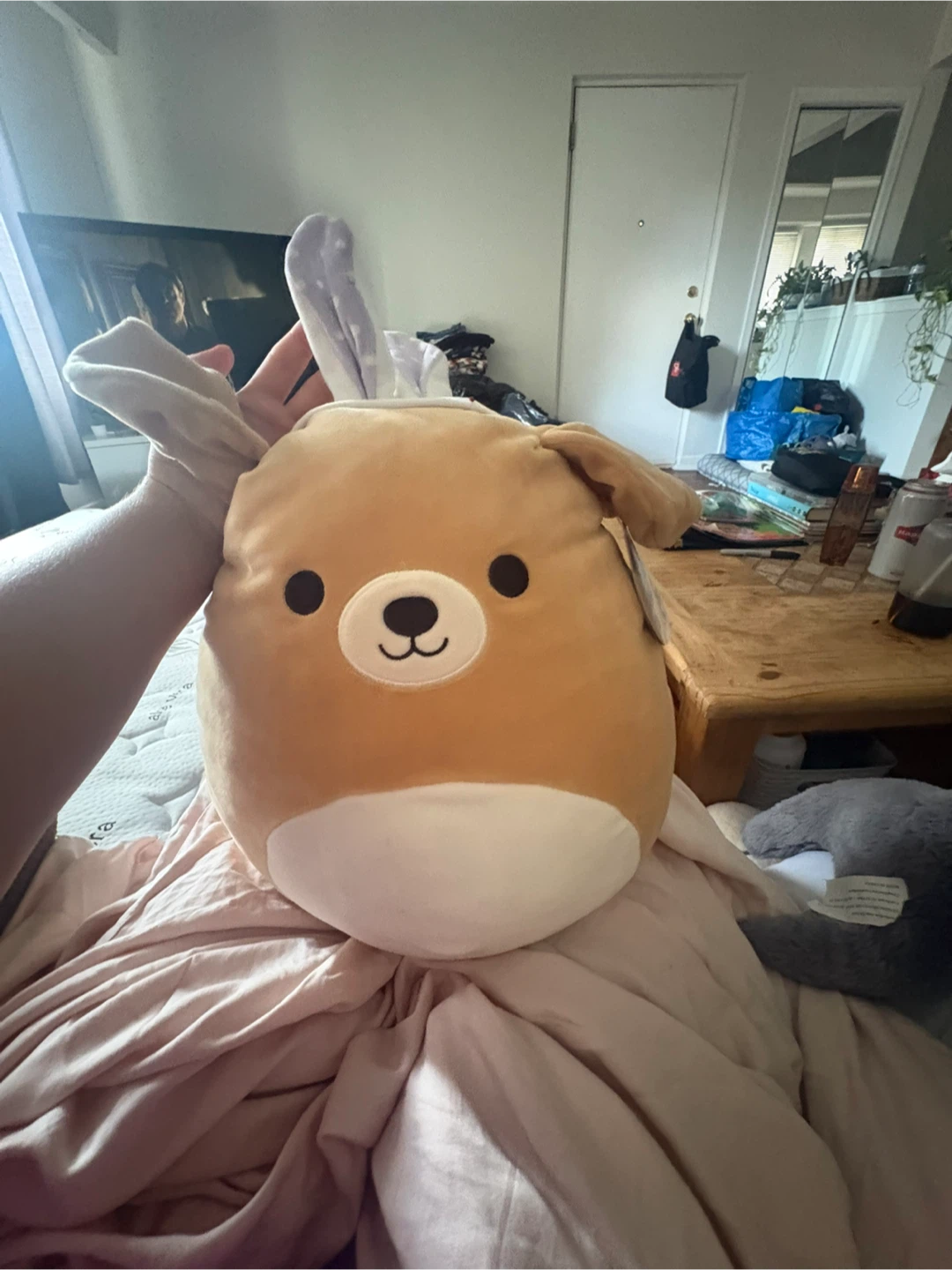 Squishmallows Stevon Easter Dog Plush