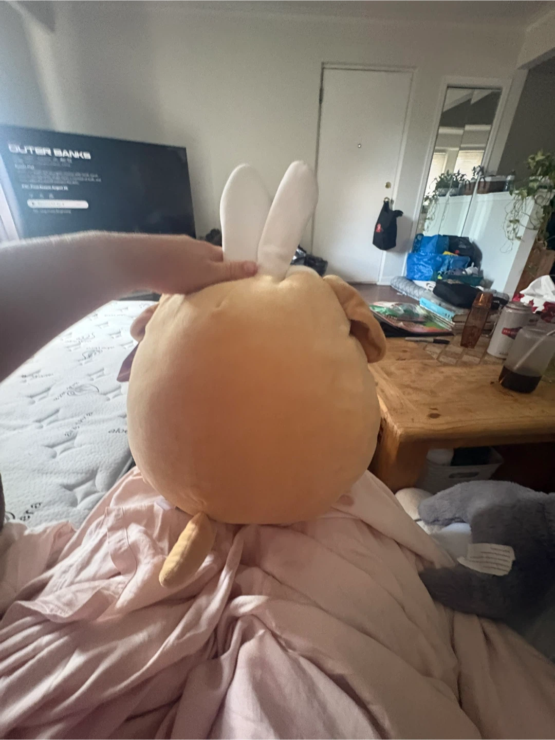 Squishmallows Stevon Easter Dog Plush - photo 2