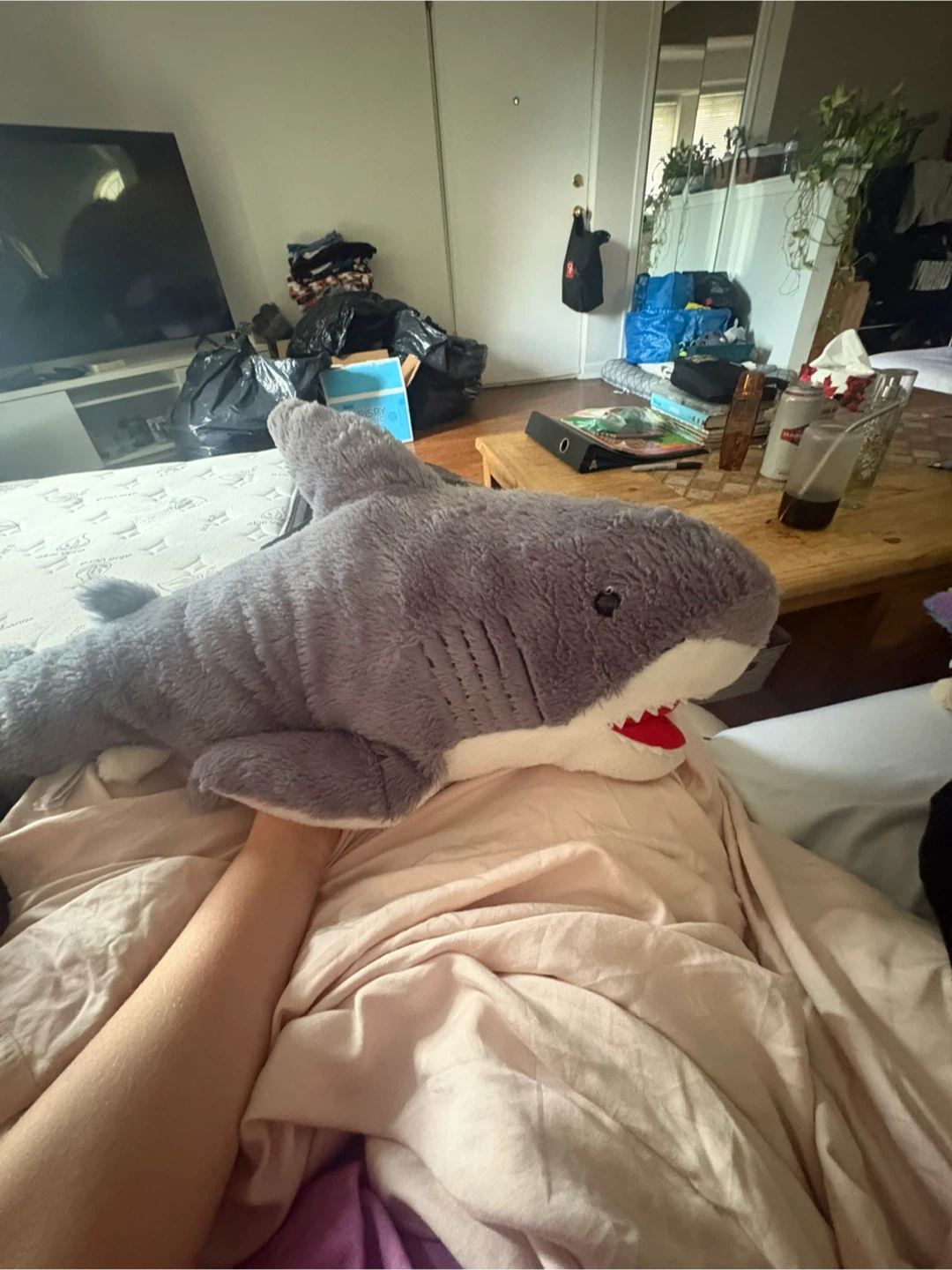 Grey Plush Shark Stuffed Animal