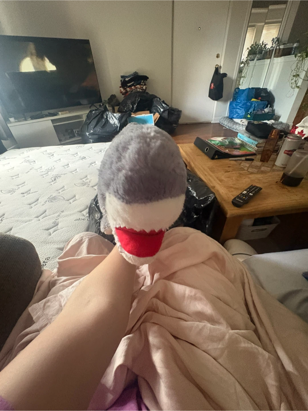 Grey Plush Shark Stuffed Animal - photo 2