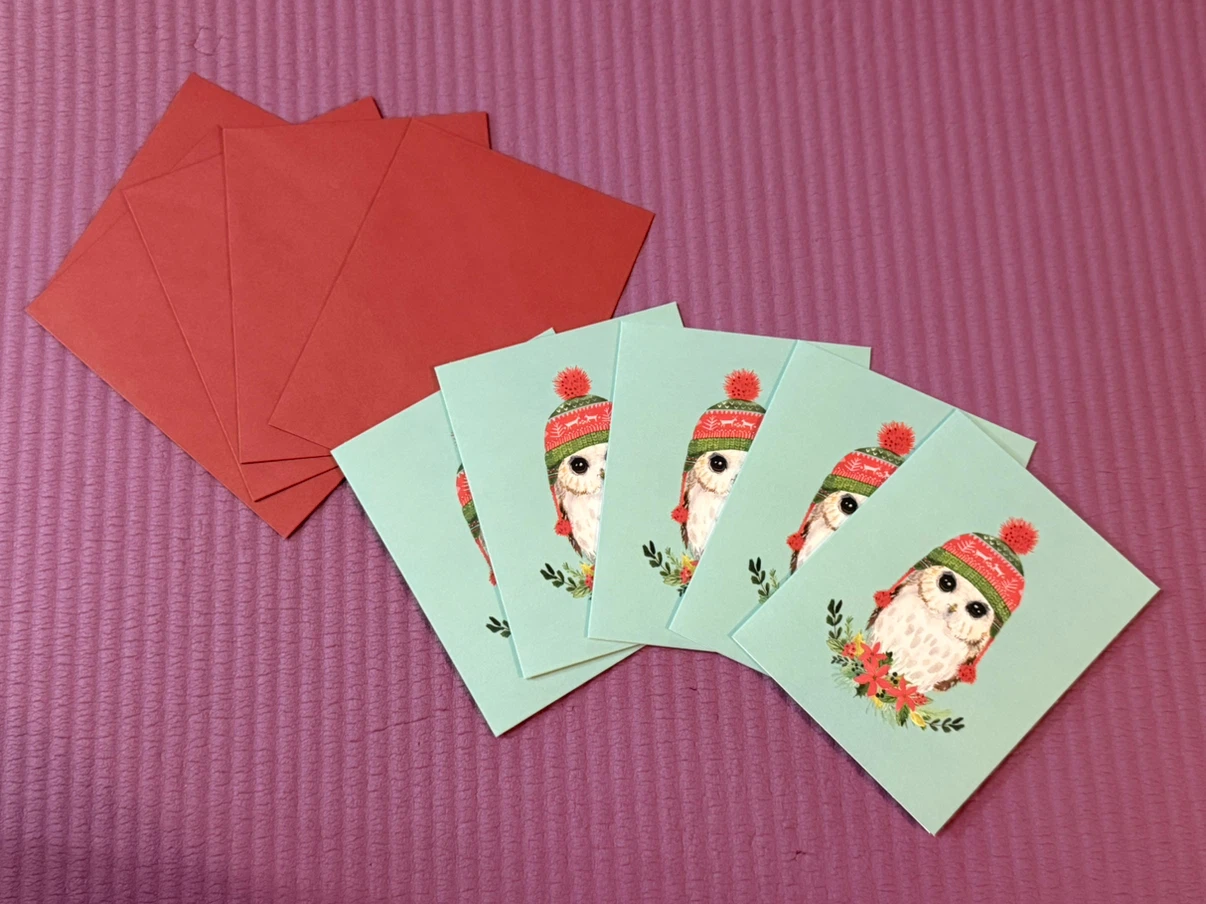 NEW🦉Papyrus Holiday Cards with Owl Design