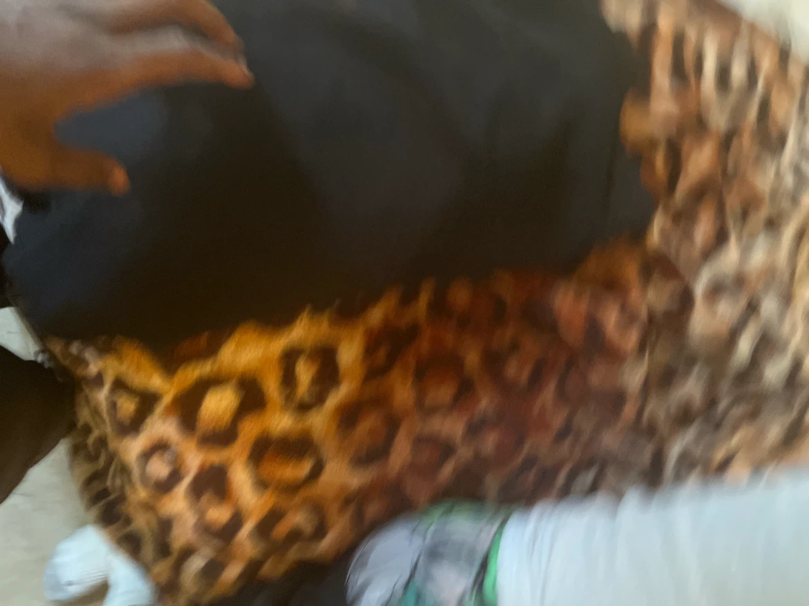 A Bathing Ape Shark Hoodie - photo 5