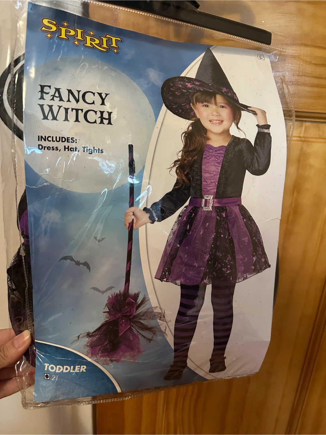 Spirit Fancy Witch Toddler Costume 2T