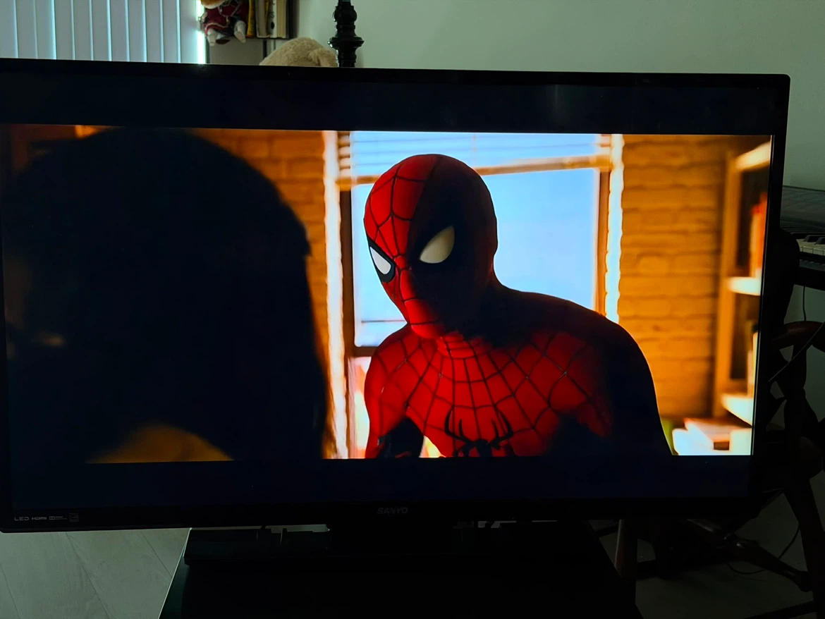 Sanyo TV 43 inches - photo 5