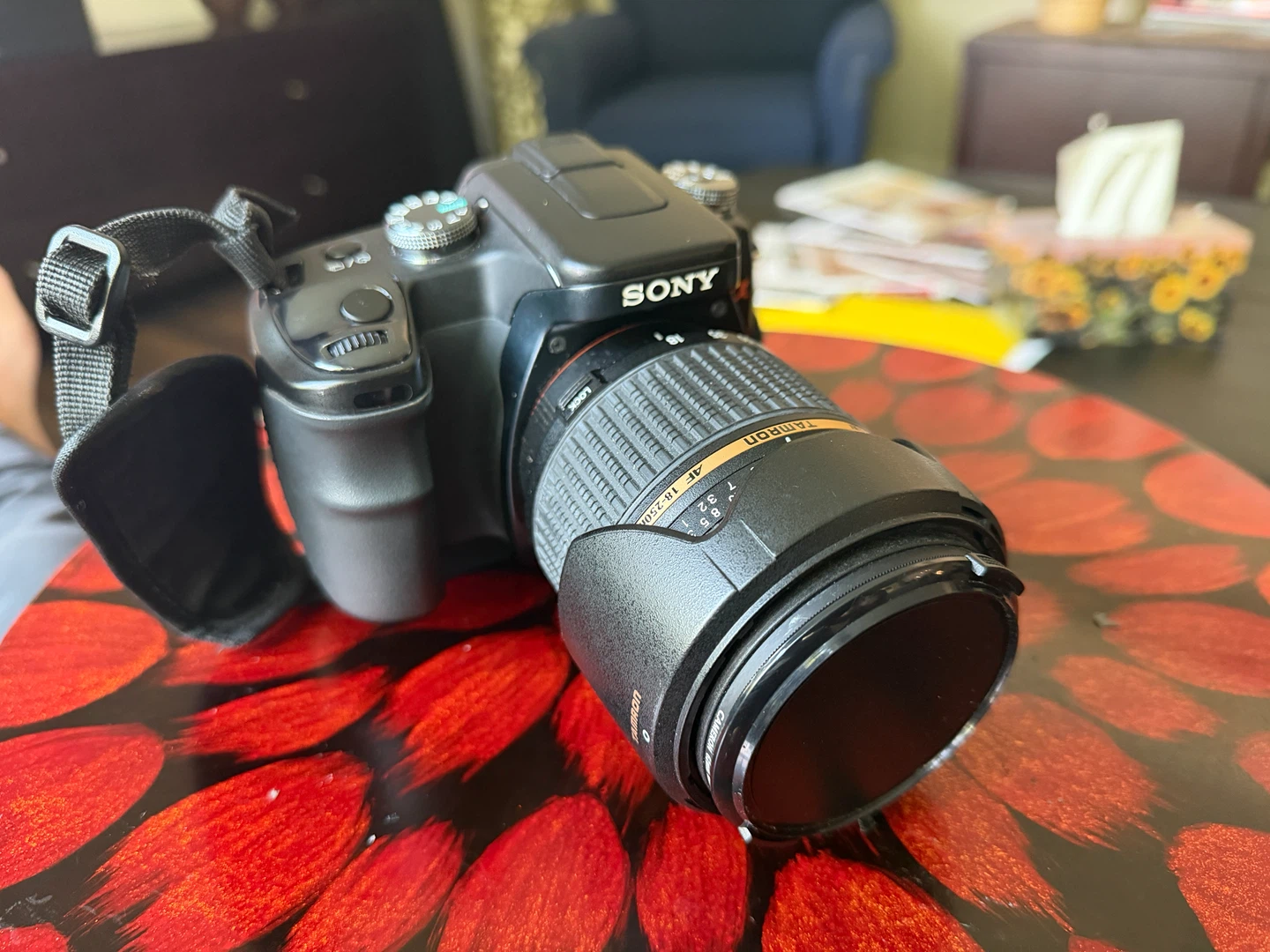 Sony Alpha a100 DSLR Camera with Tamron Lens and Bags