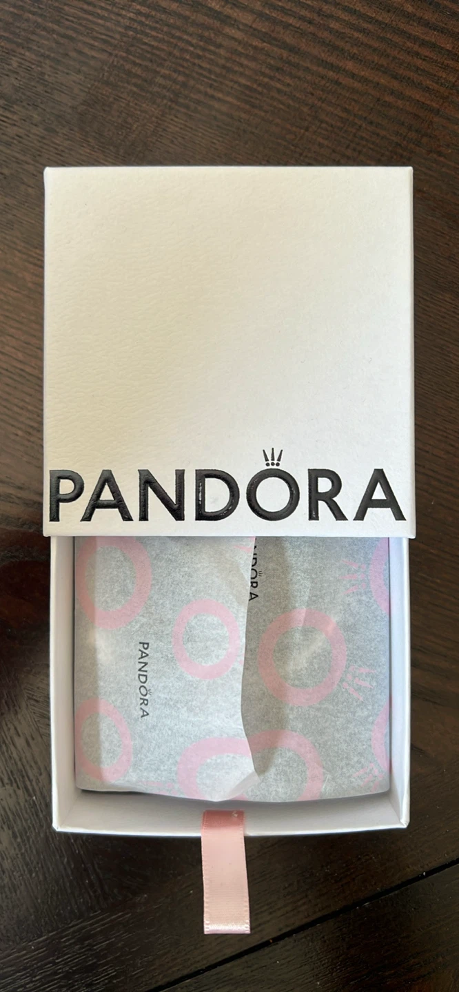 Pandora Silver Heart Clasp Bracelet - photo 4