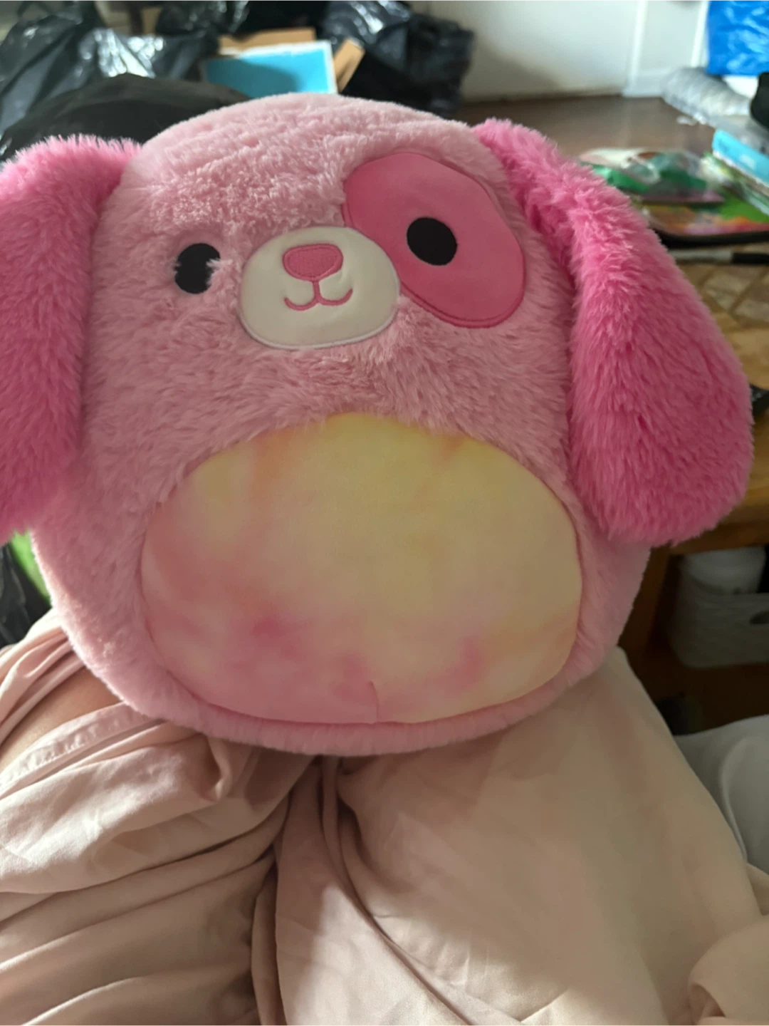 Squishmallows Chasen Pink Dog Plush Toy