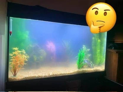 Advanced & Beginner Aquarium Consulting - photo 2