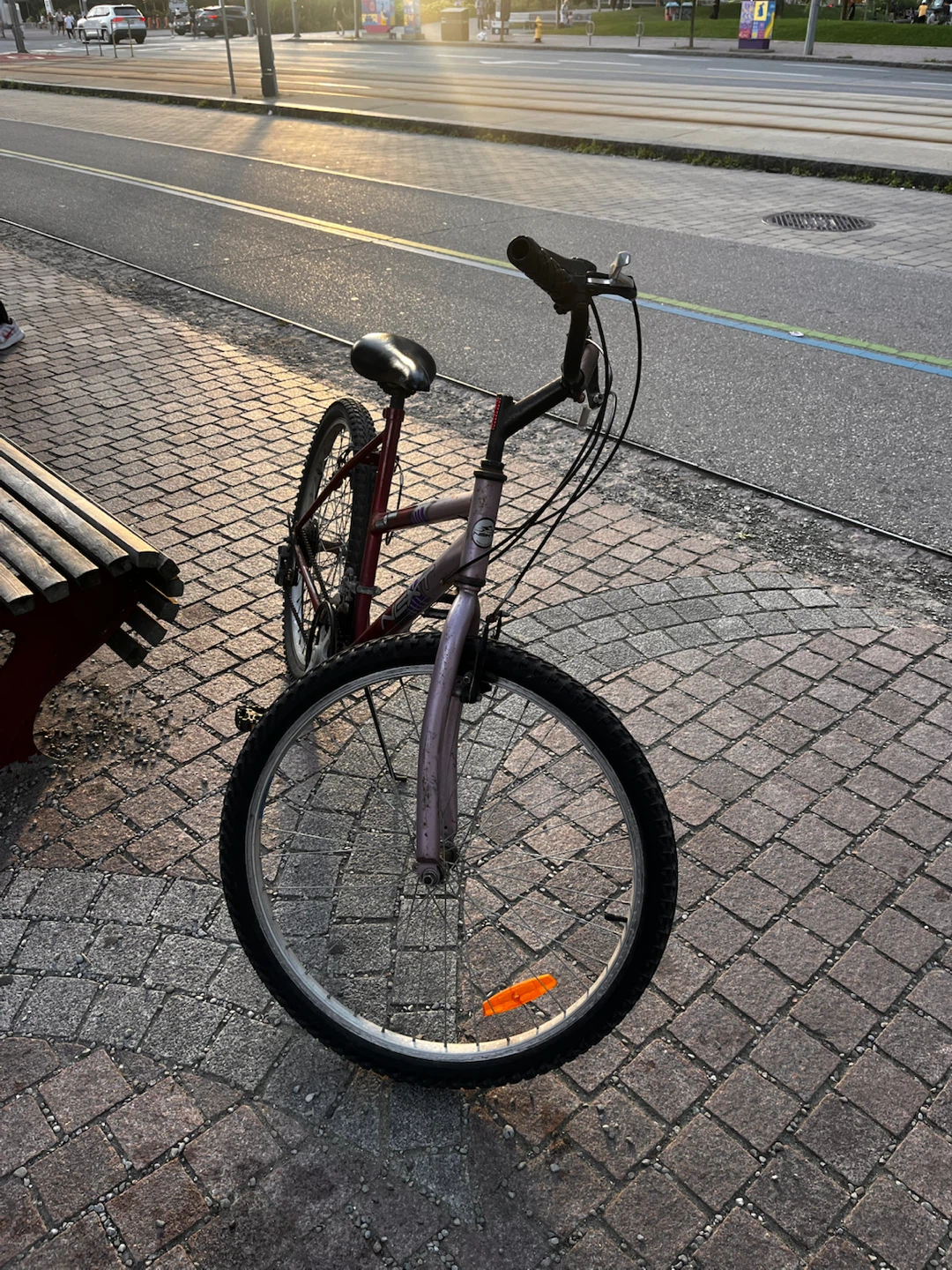 Red and Purple Mountain Bike