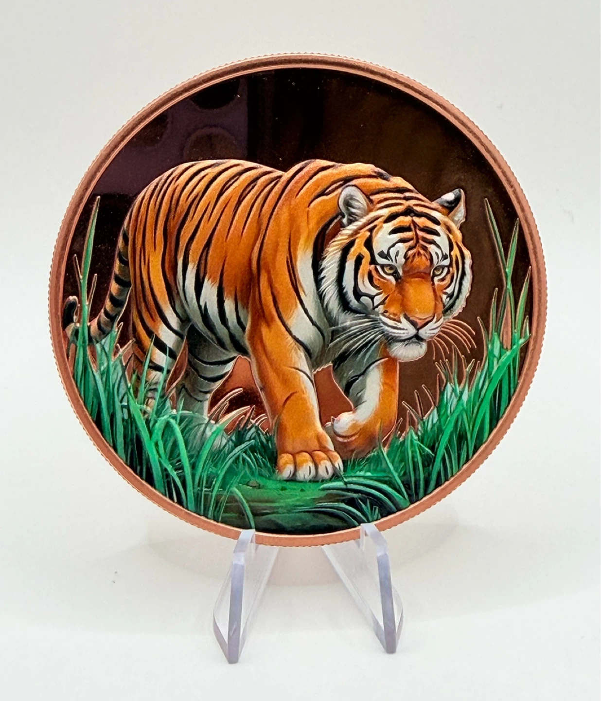 Large Wild Cat Themed Decorative Coins - photo 5