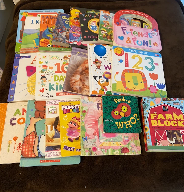 Kids book bundle