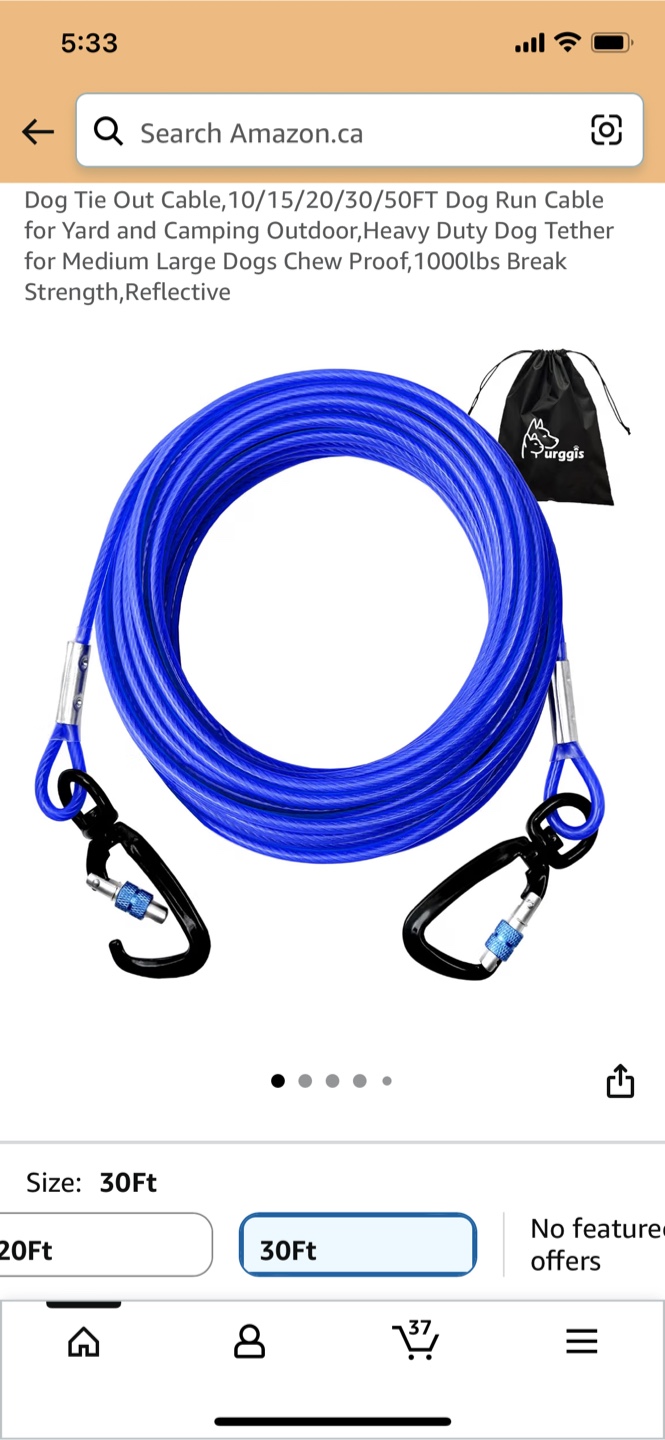 Urgis Dog Tie Out Cable 30ft Blue
