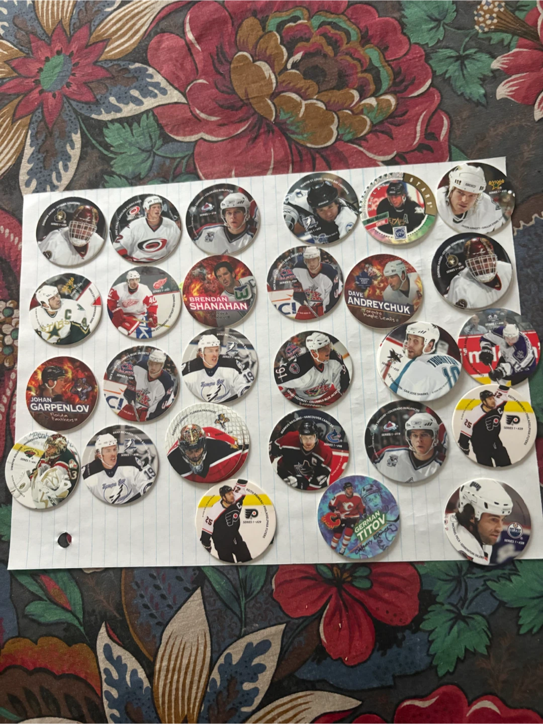 Collection of Hockey Pogs