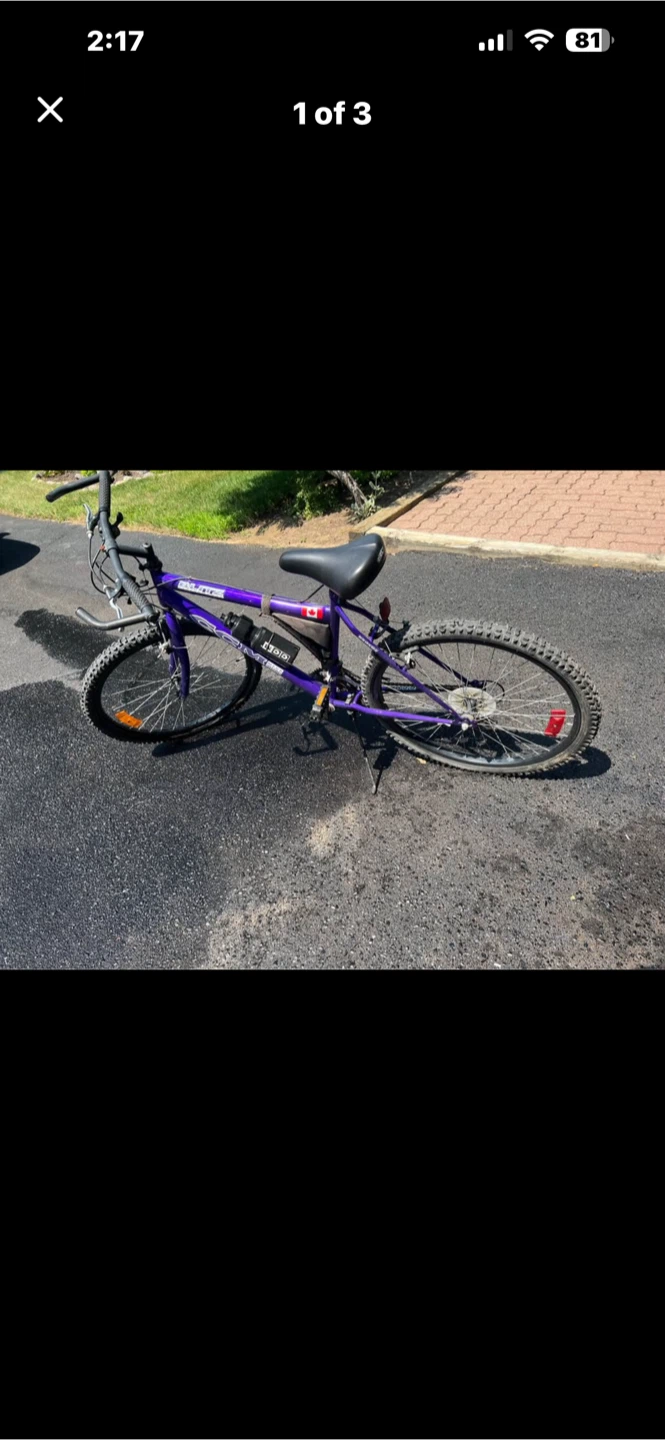 Purple Mountain Bike