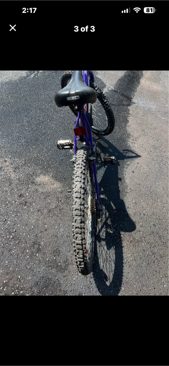 Purple Mountain Bike - photo 3