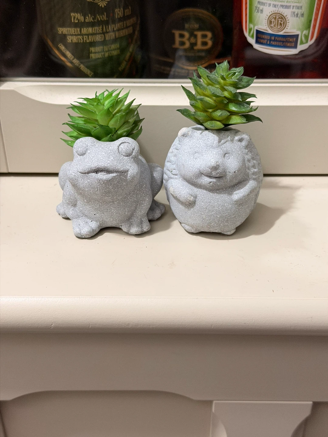 Cute Frog and Hedgehog Planters with fake Succulents