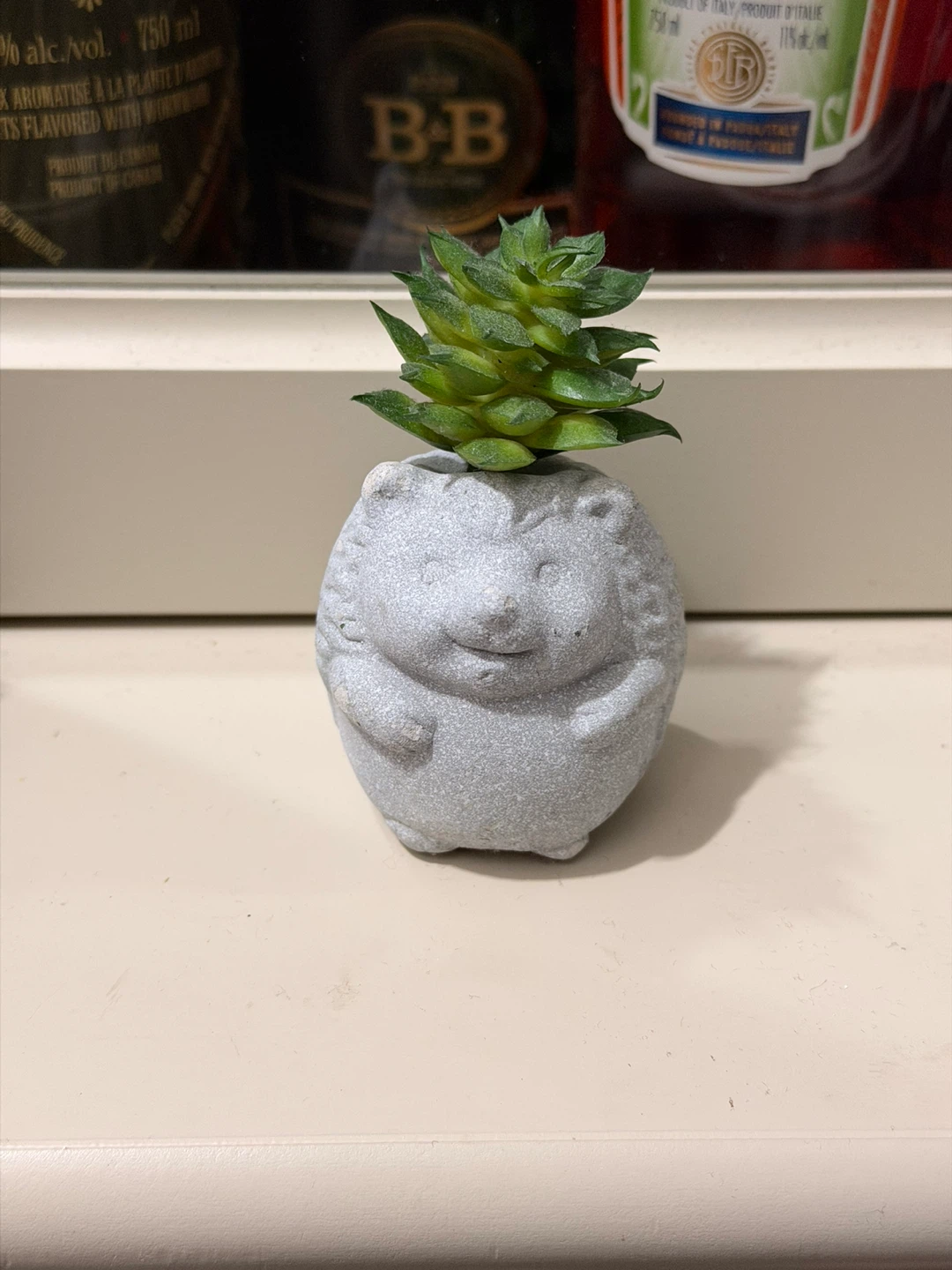 Cute Frog and Hedgehog Planters with fake Succulents - photo 2
