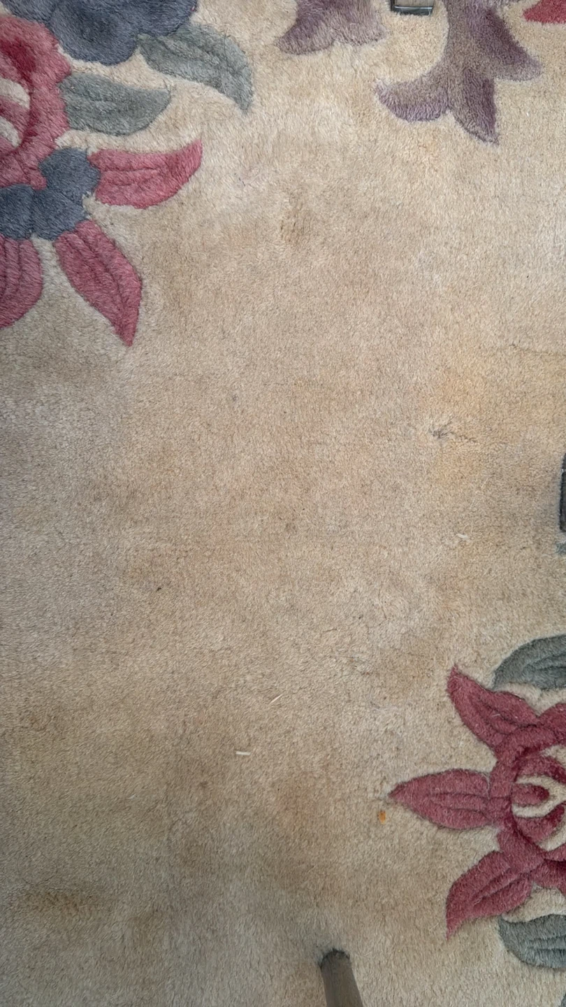 Floral Area Rug - photo 2