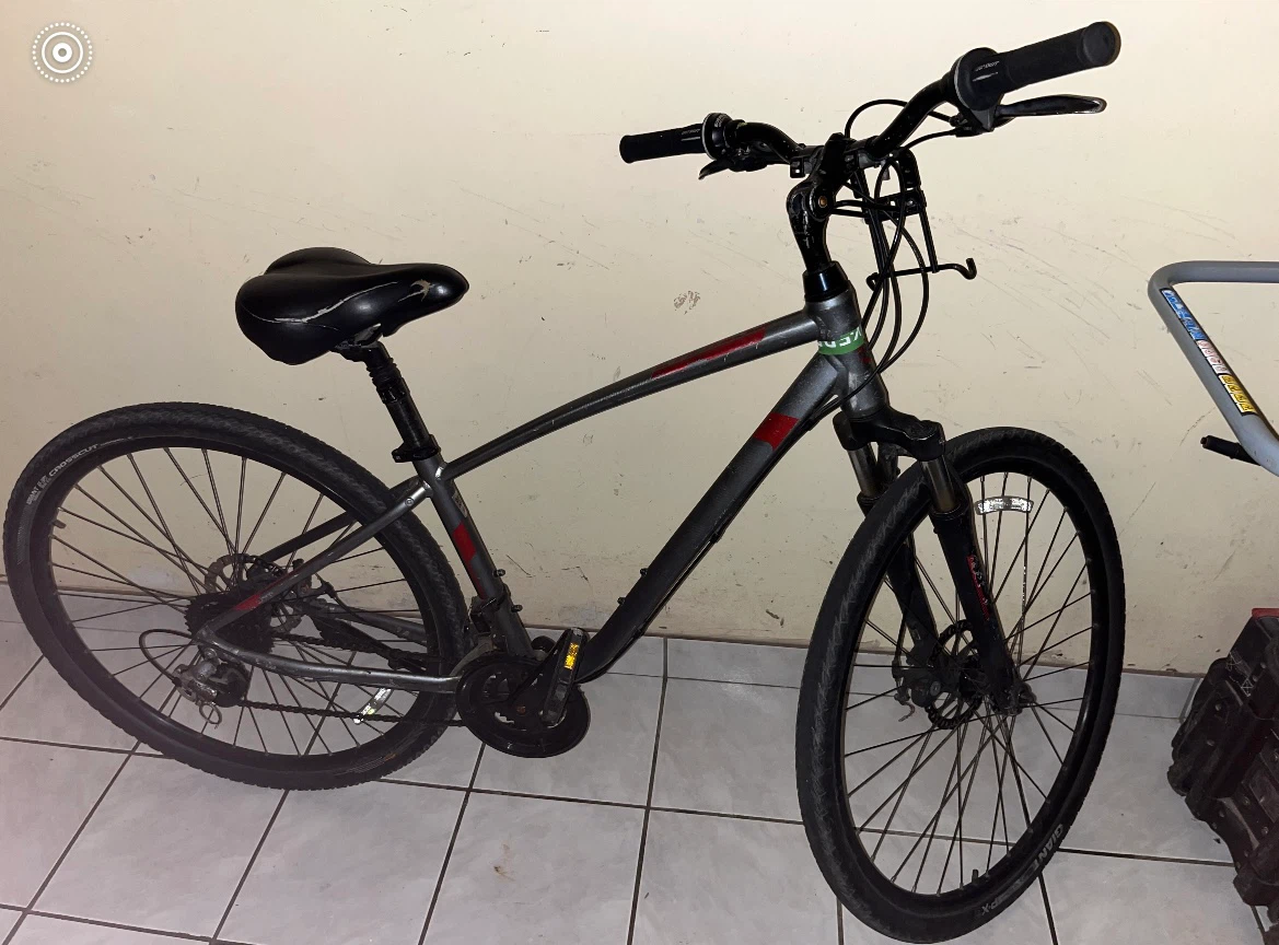 Giant Cypress DX (NEED GONE)