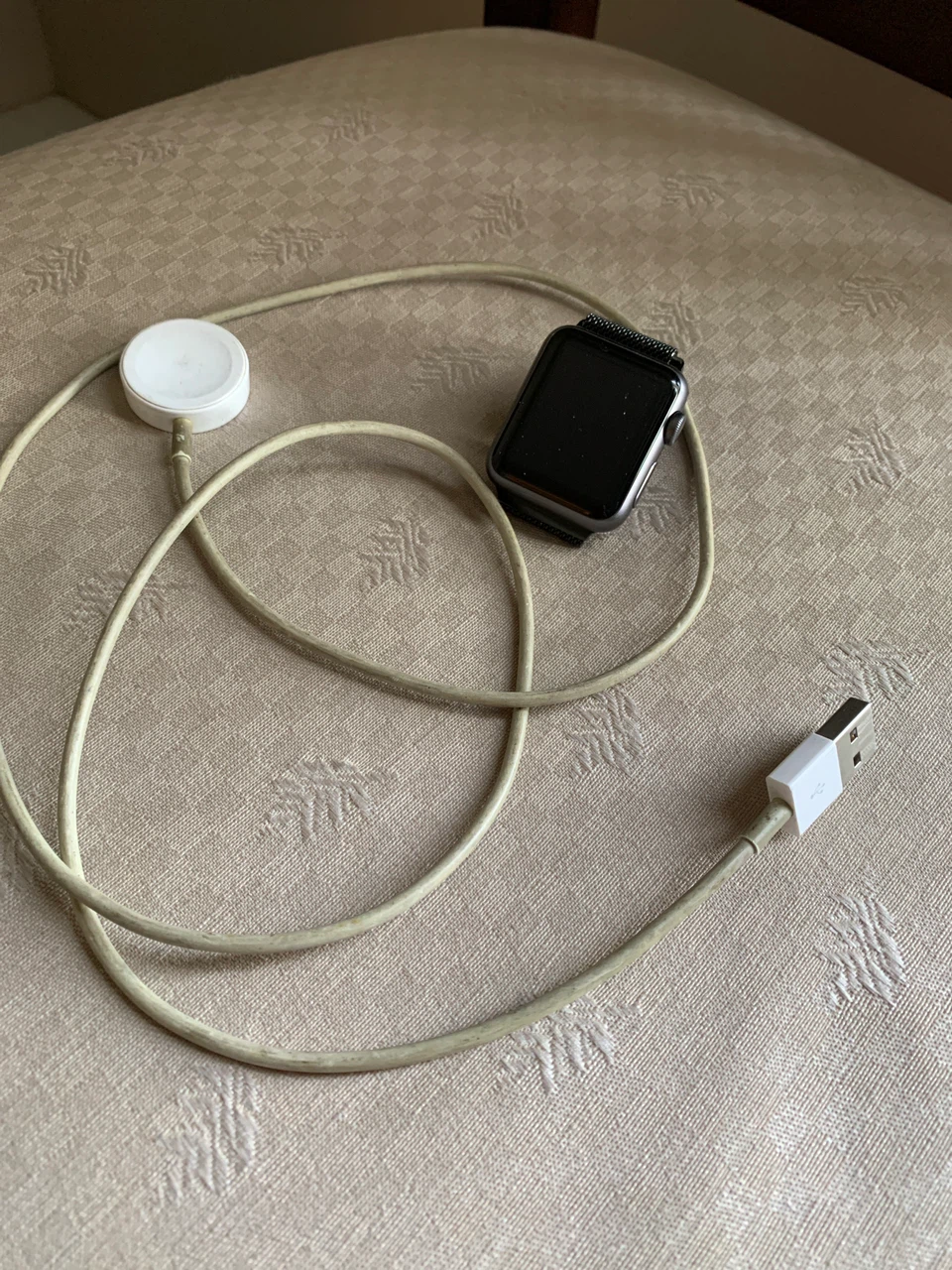 Apple Watch with Charger - photo 2