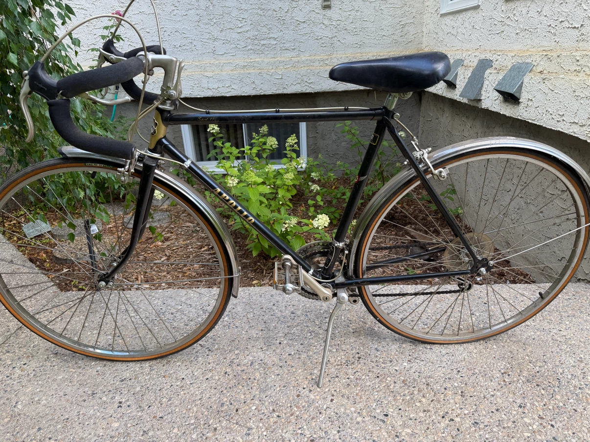 10 speed step through road bike