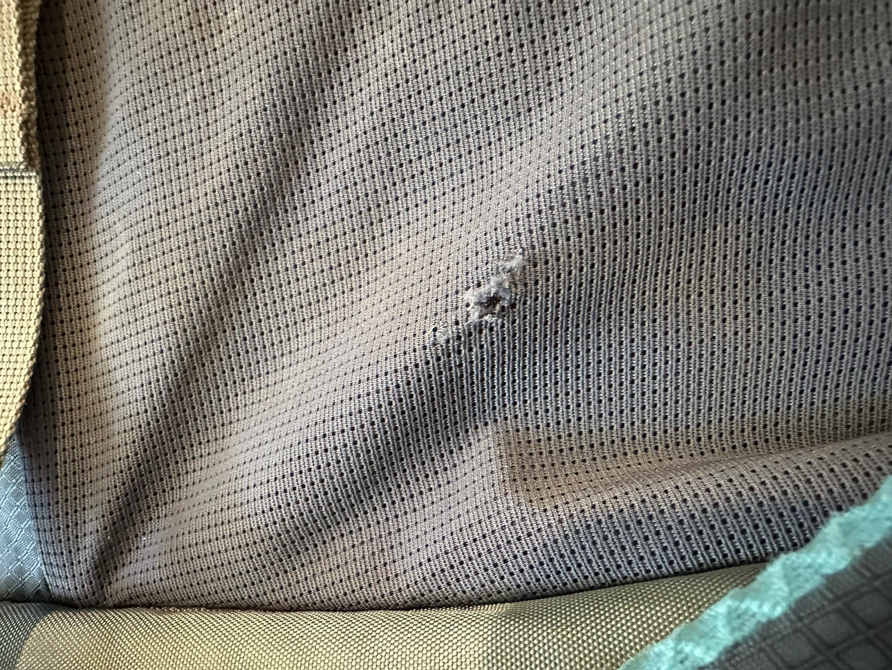 Osprey Kyte 66L (Older Model/Style) Backpack - photo 3
