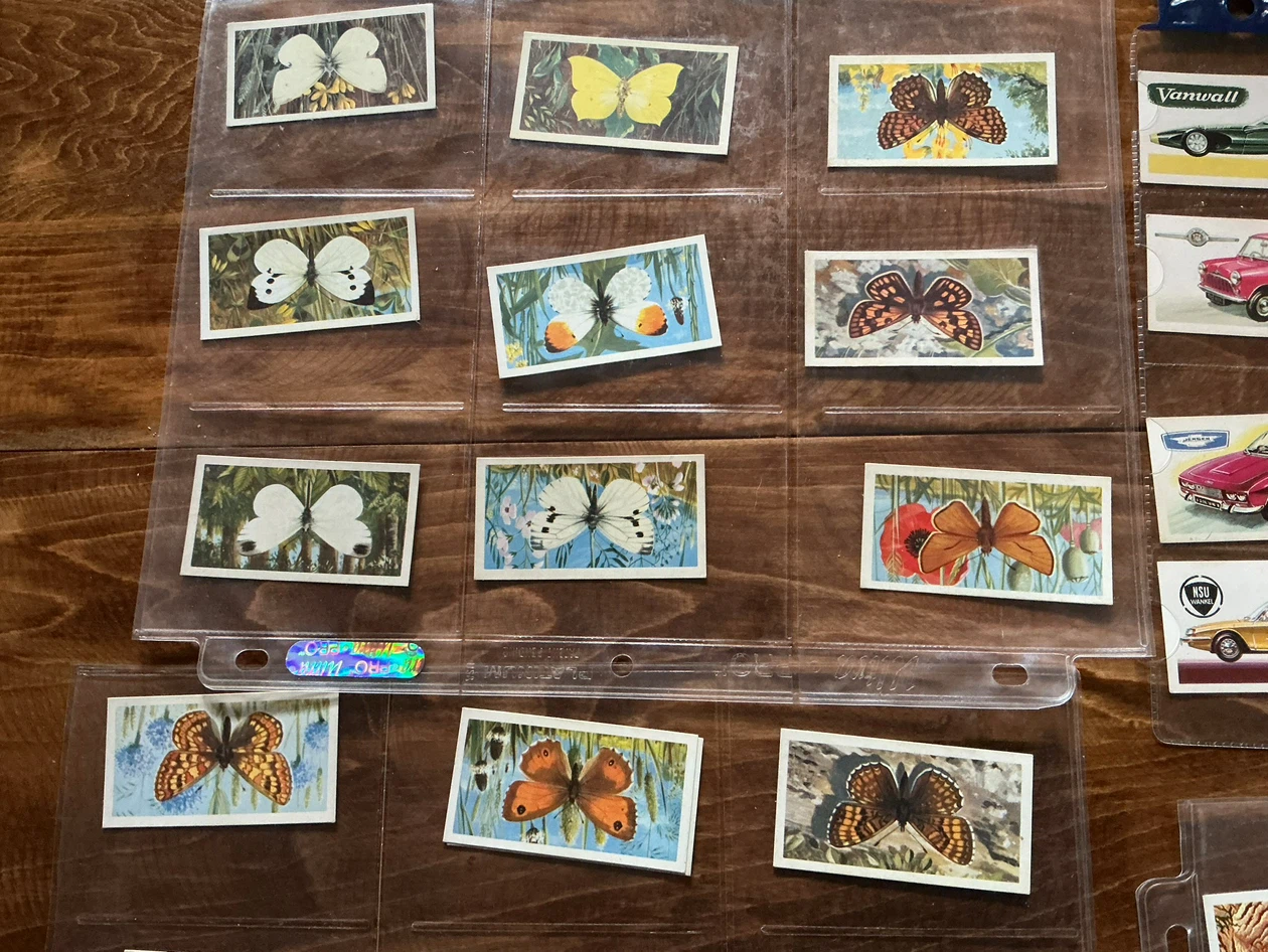 49 BROOKE BOND TEA 1954 Collectible Trading Cards - photo 2
